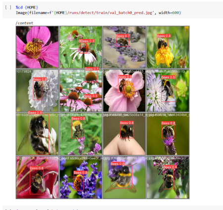 News Featured Image